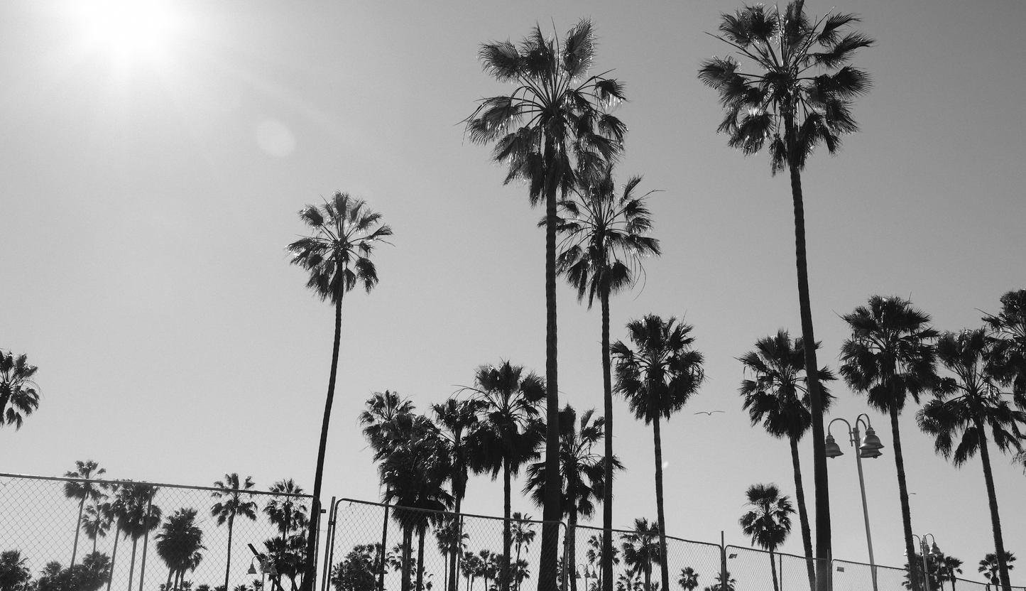 Pesade | Mid Mountain Perfume