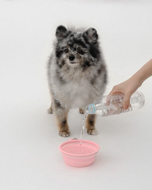 [10/10 KR出貨] HELLO KITTYXARUMARU FOLDING BOWL