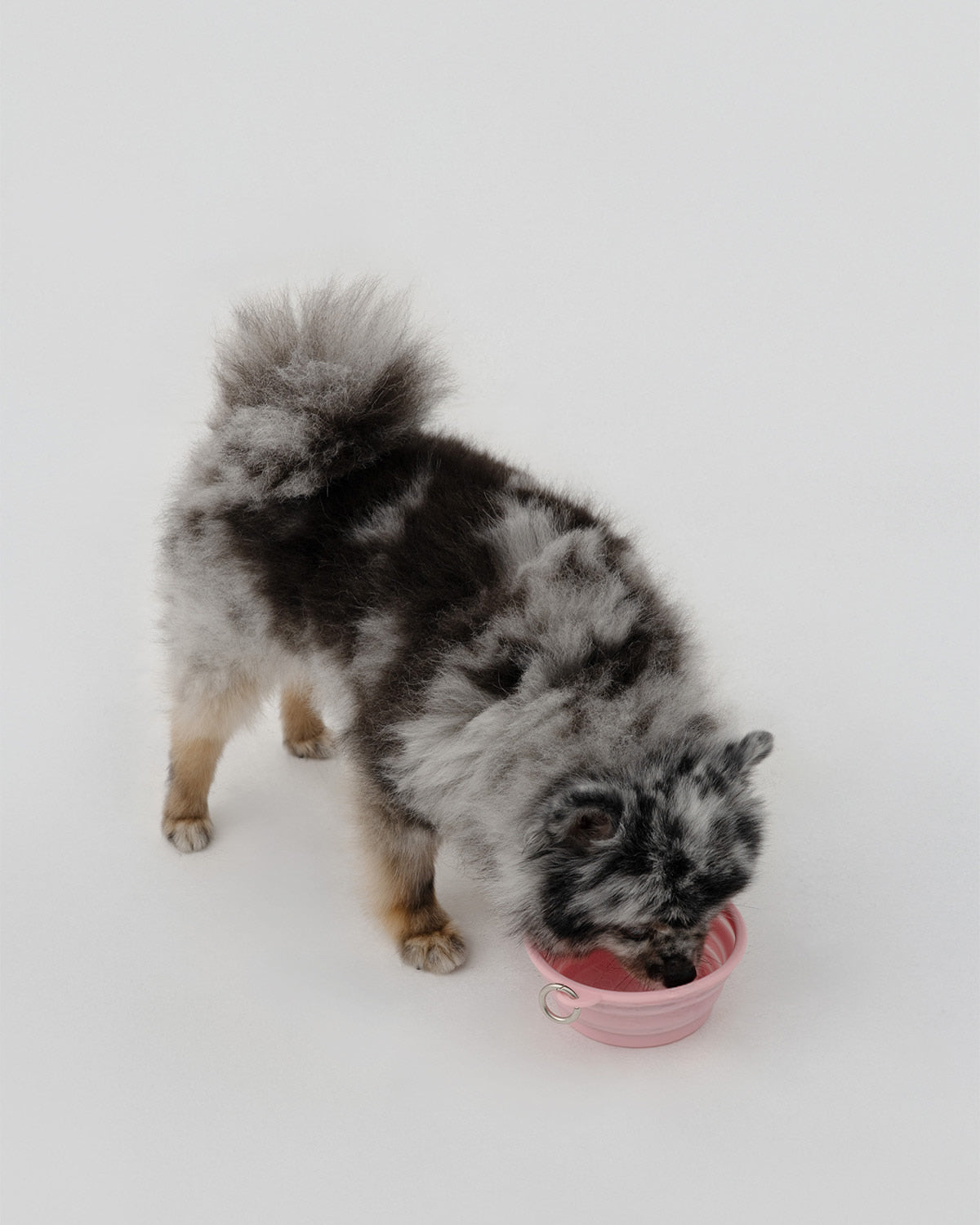 [10/10 KR出貨] HELLO KITTYXARUMARU FOLDING BOWL