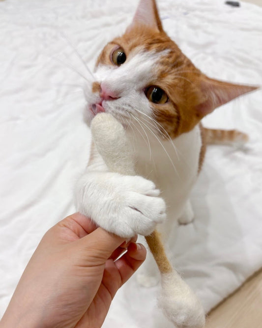 🐱💗貓咪巨型雲朵棒💫