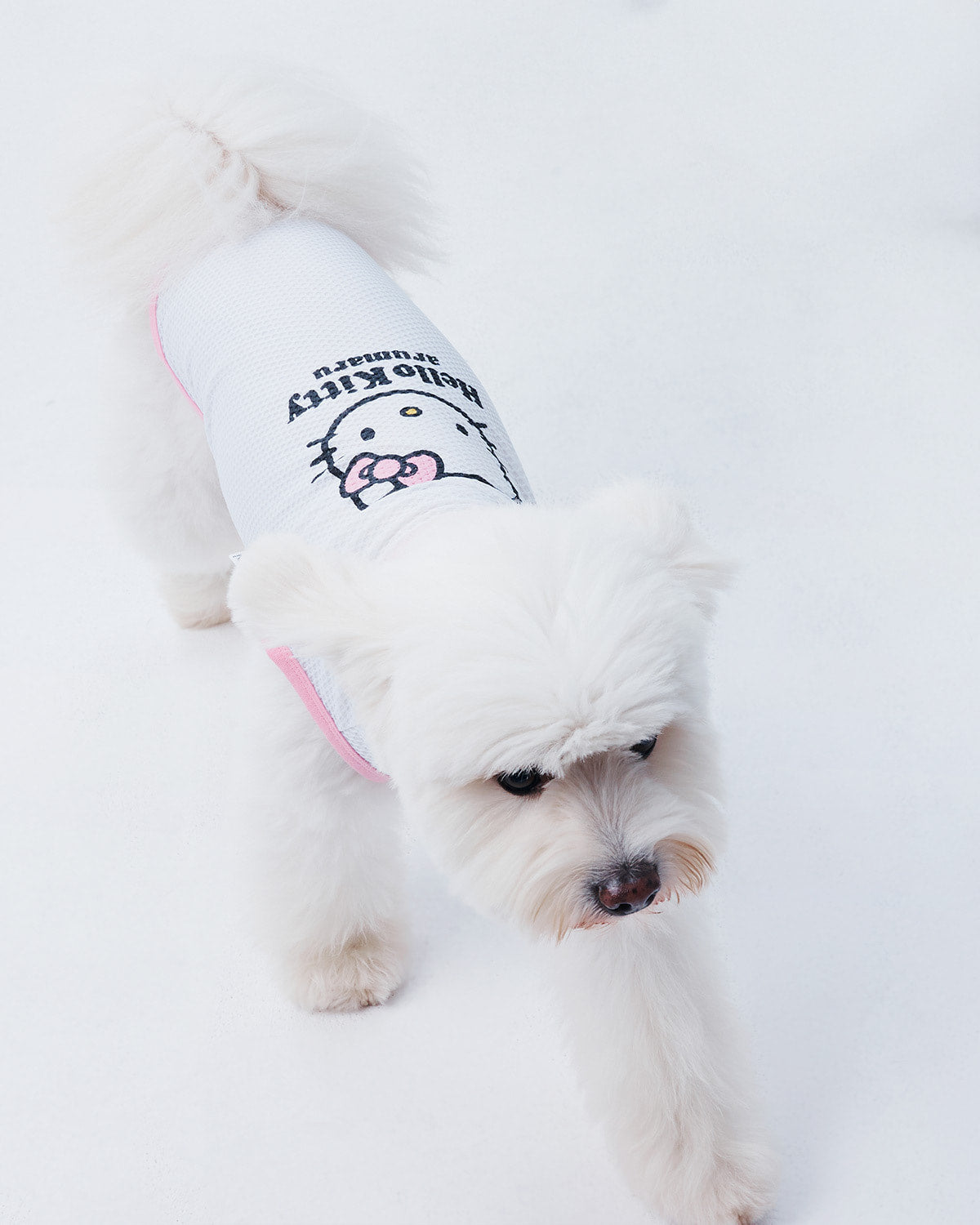 HELLO KITTY X ARUMARU PET SLEEVELESS MESH TOP_PINK-2차 재입고