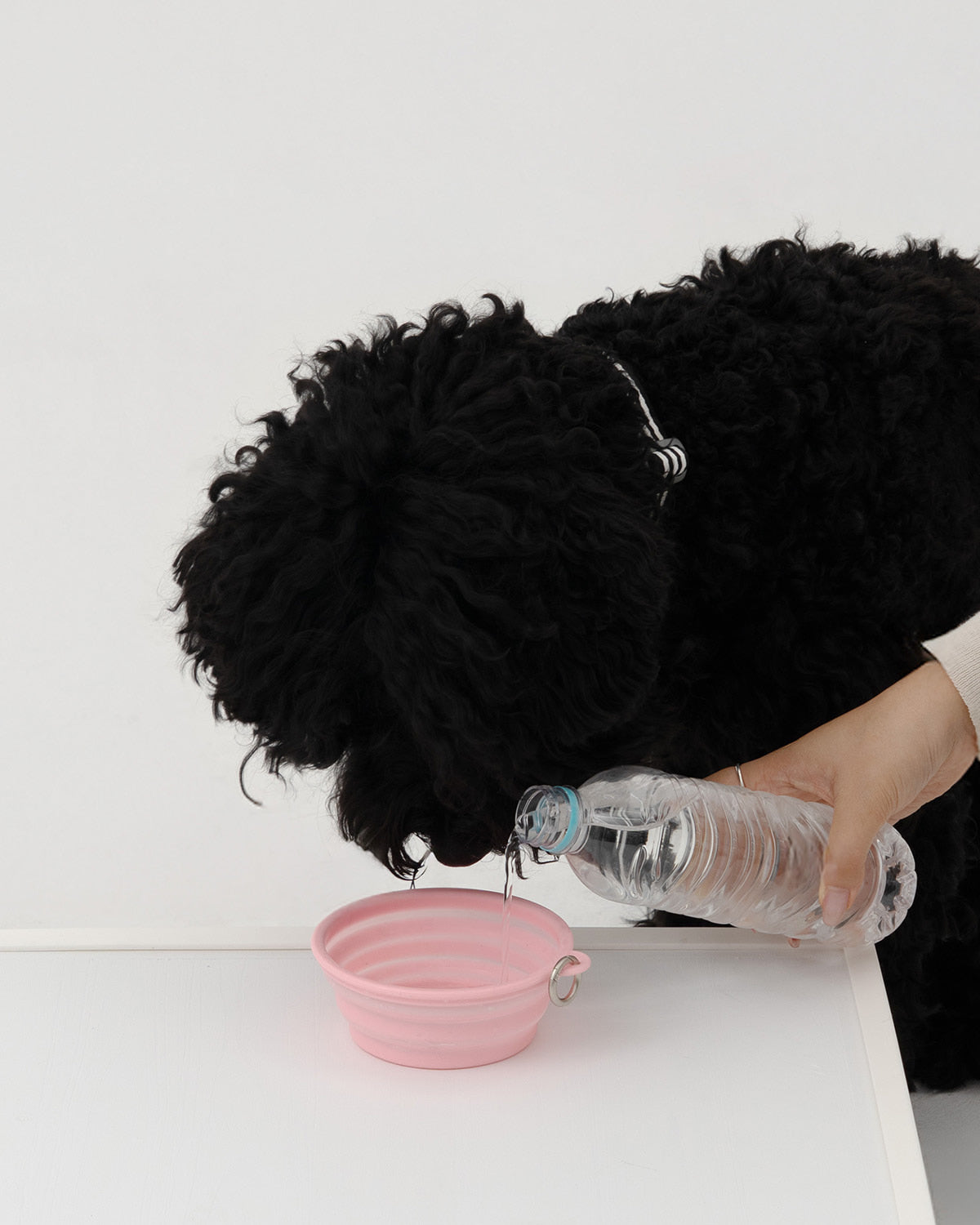 [10/10 KR出貨] HELLO KITTYXARUMARU FOLDING BOWL