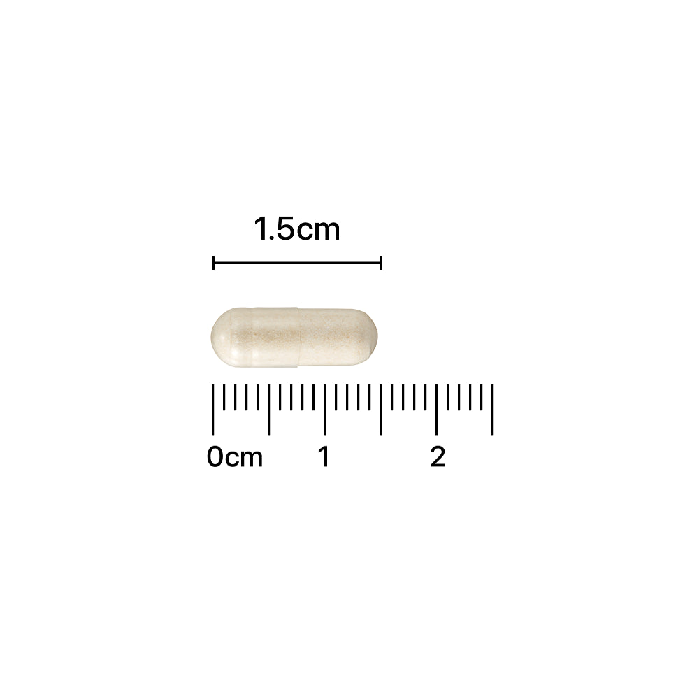 Ginomaster 乳酸菌膠囊 30 粒優質健康女性專用益生菌
