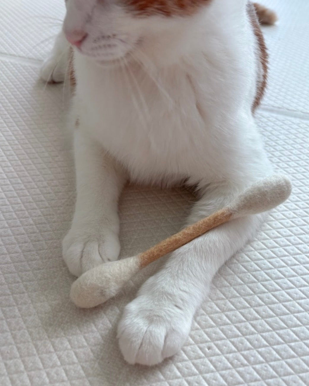 🐱💗貓咪巨型雲朵棒💫