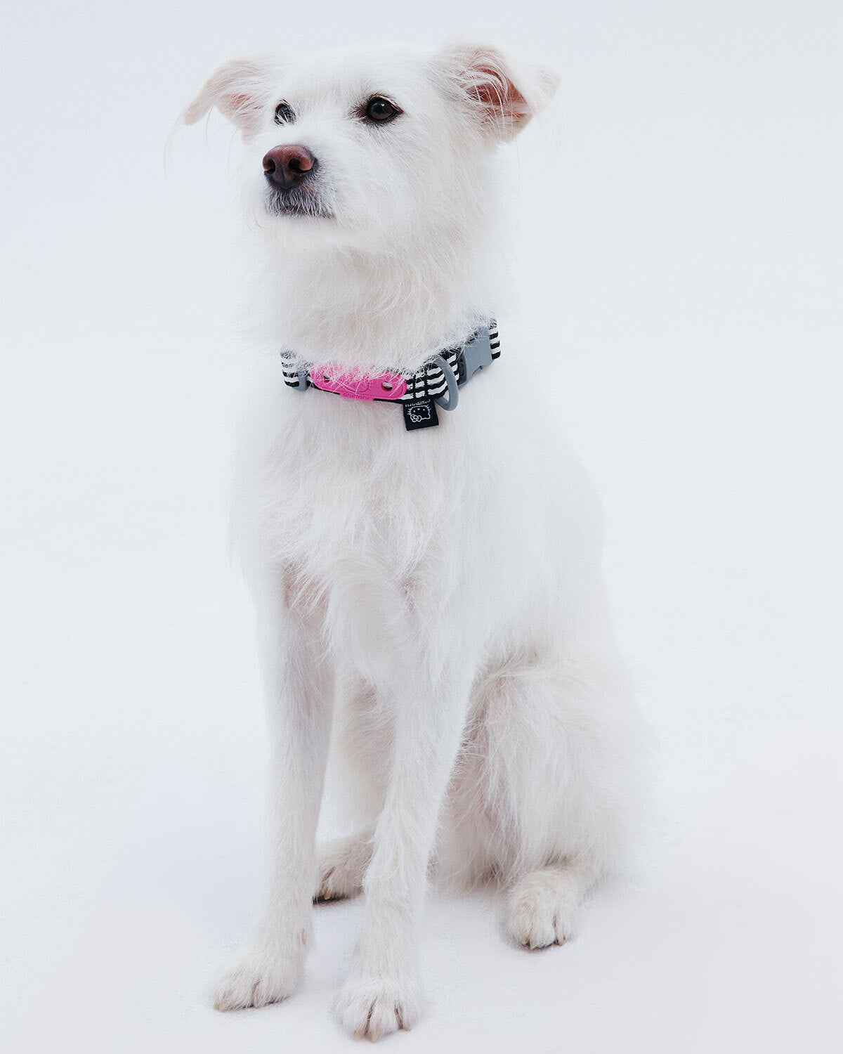 HELLO KITTY X ARUMARU DOG COLLAK BLACK
