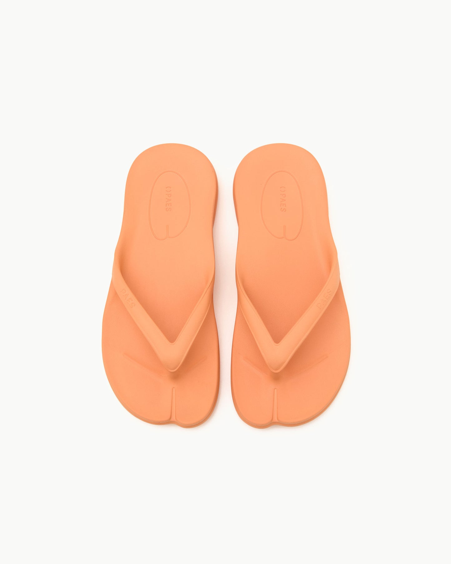 PAES - Flippy / Salmon